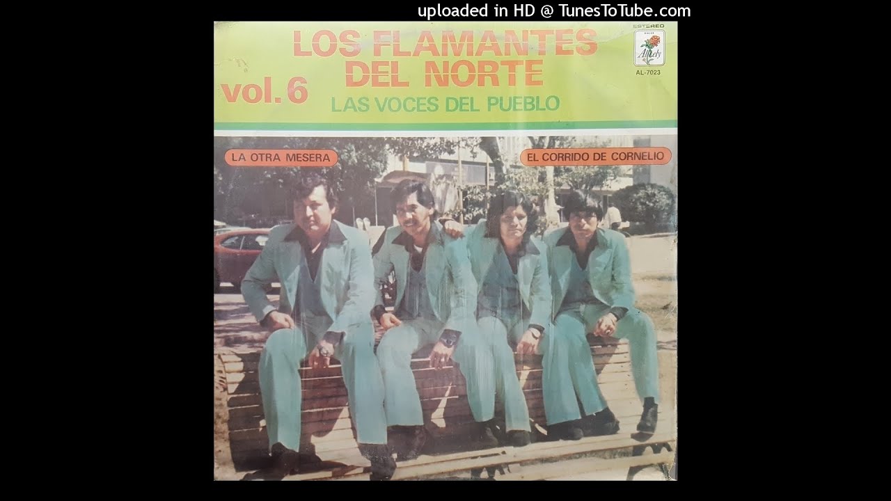 Los Flamantes Del Norte - La Otra Mesera (Disco Completo)
