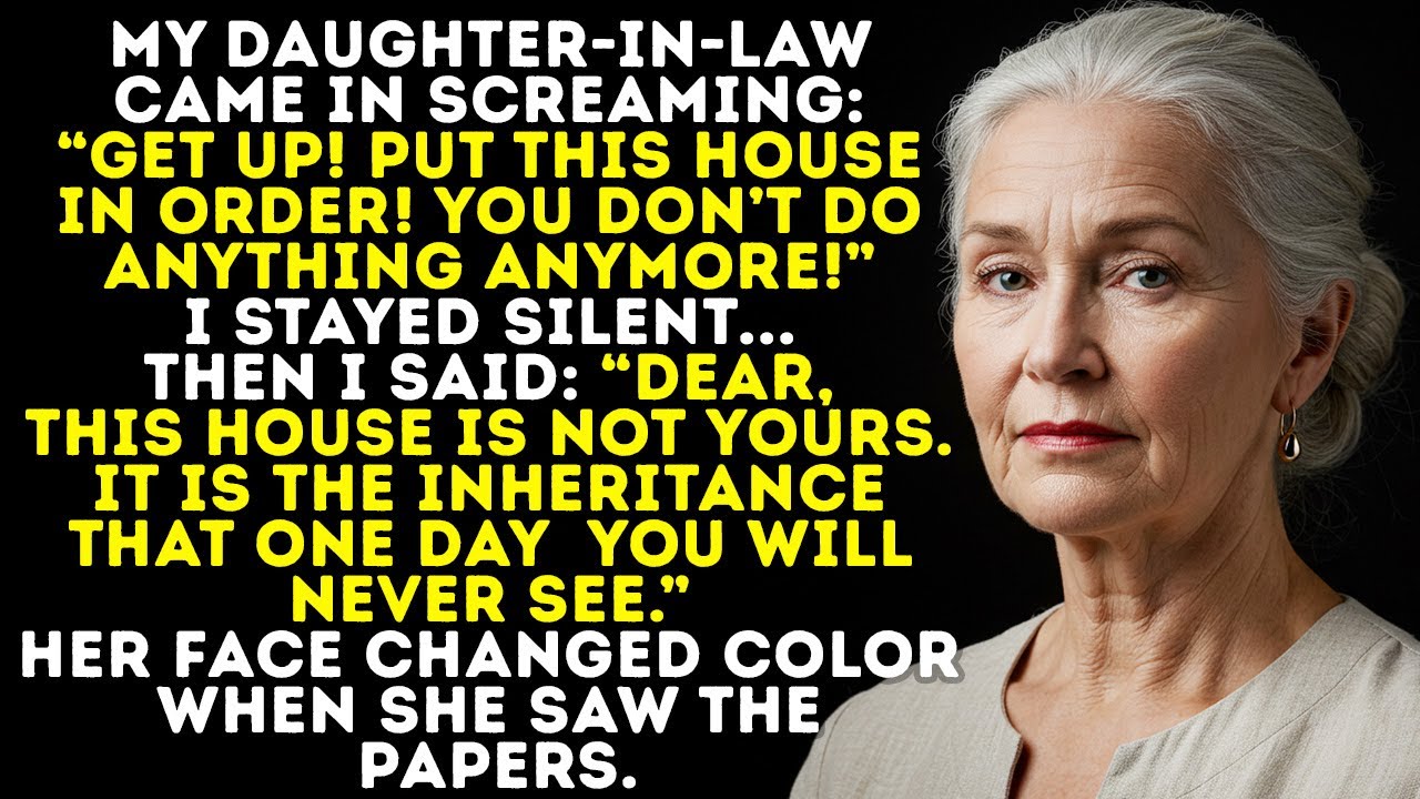My Daughter-In-Law Shouted: “Get Up And Do Something!”… She Never Expected I’d Shut Her Up Like That