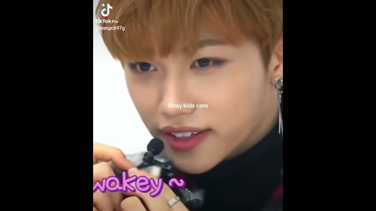 Skz core 