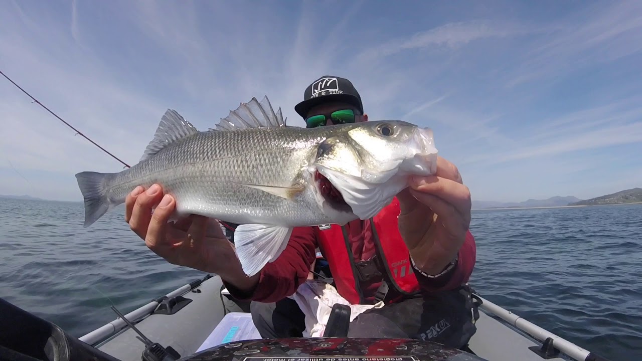 SIB Fishing -Shell Island May 2018 - Bass fishing - Sib