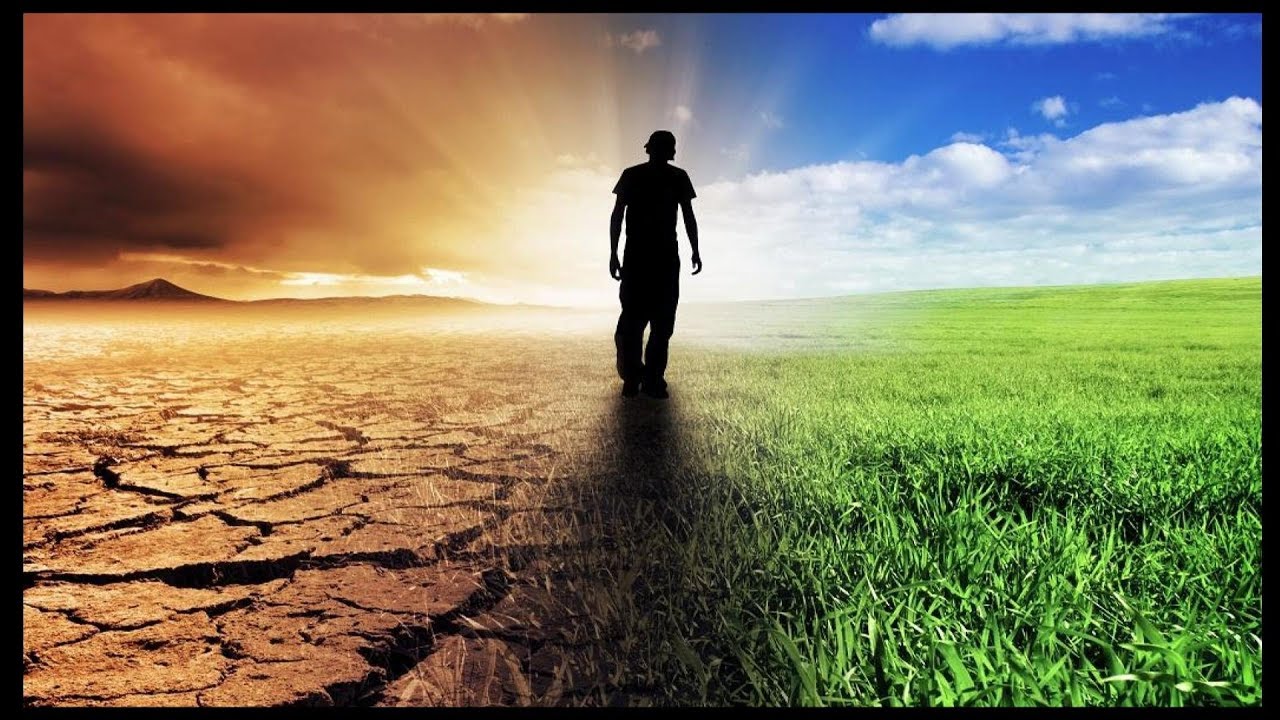 Руководство для эмпатов по преодолению последствий отношений с нарциссом