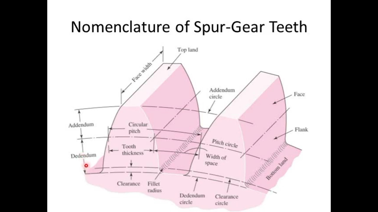 What is gear and the types of gear e.g spur,helical,worm and bevel gear nomenclature tooth size