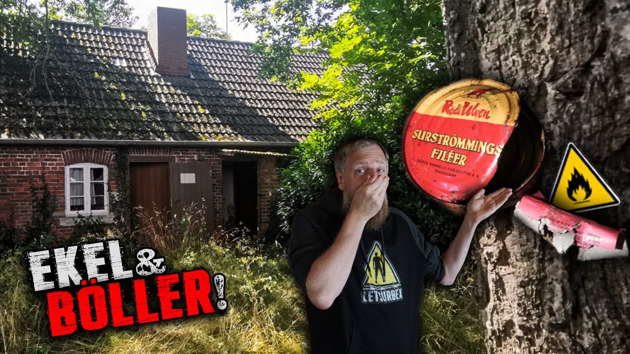 DER EKEL FUND? 🤮 SURSTRÖMMING & BÖLLER IM HAUS GEFUNDEN!