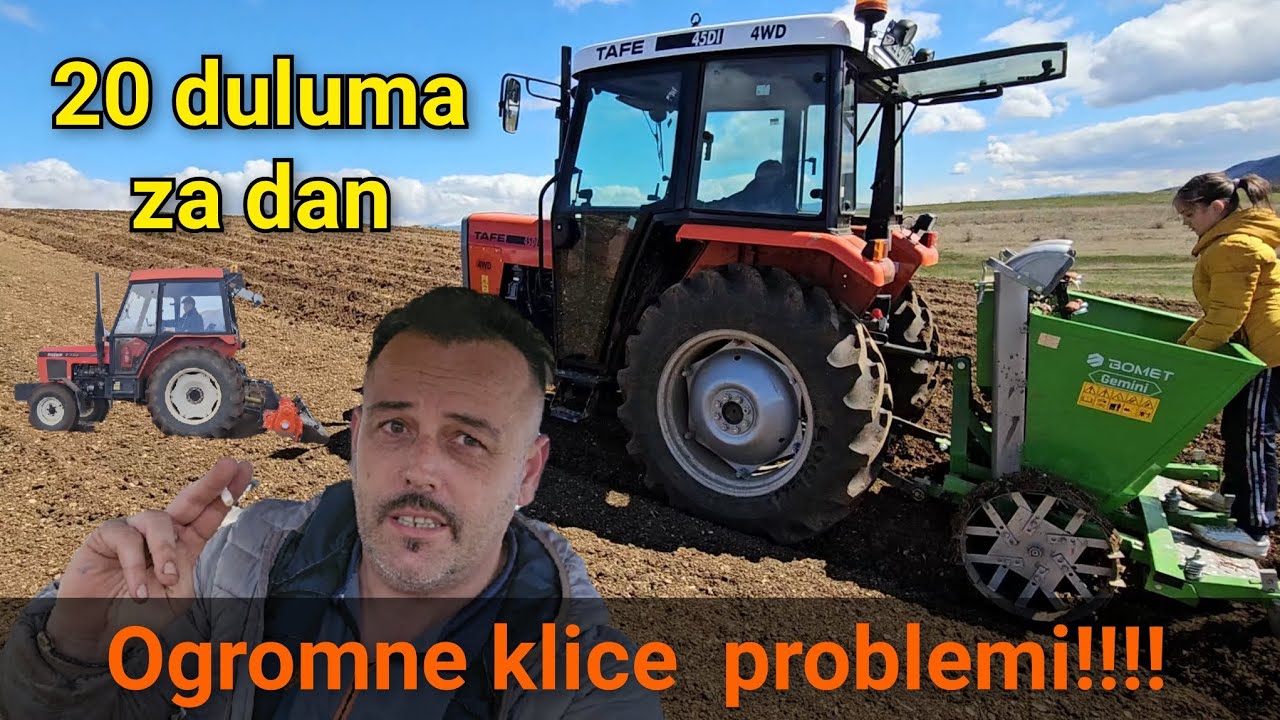 Priprema i Sjetva Krompira Tafe 45 di 4wd i Zetor 6320 BOMET automacka sadilica
