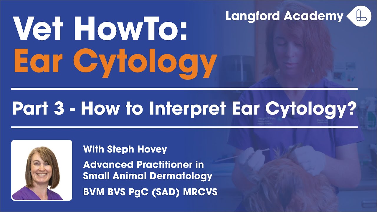 How to Interpret Ear Cytology