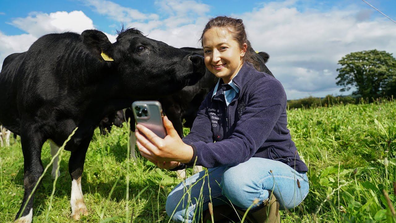'You can get free calf jackets and milk buckets': Mett Irelands 'agri-infulencer'
