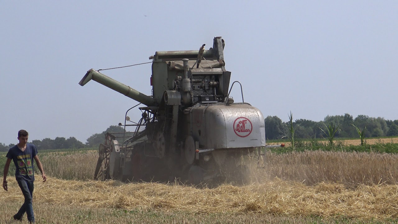 TRITICALE AAN HET DORSEN MET EEN CLAAS SF & CLAAS MATADOR