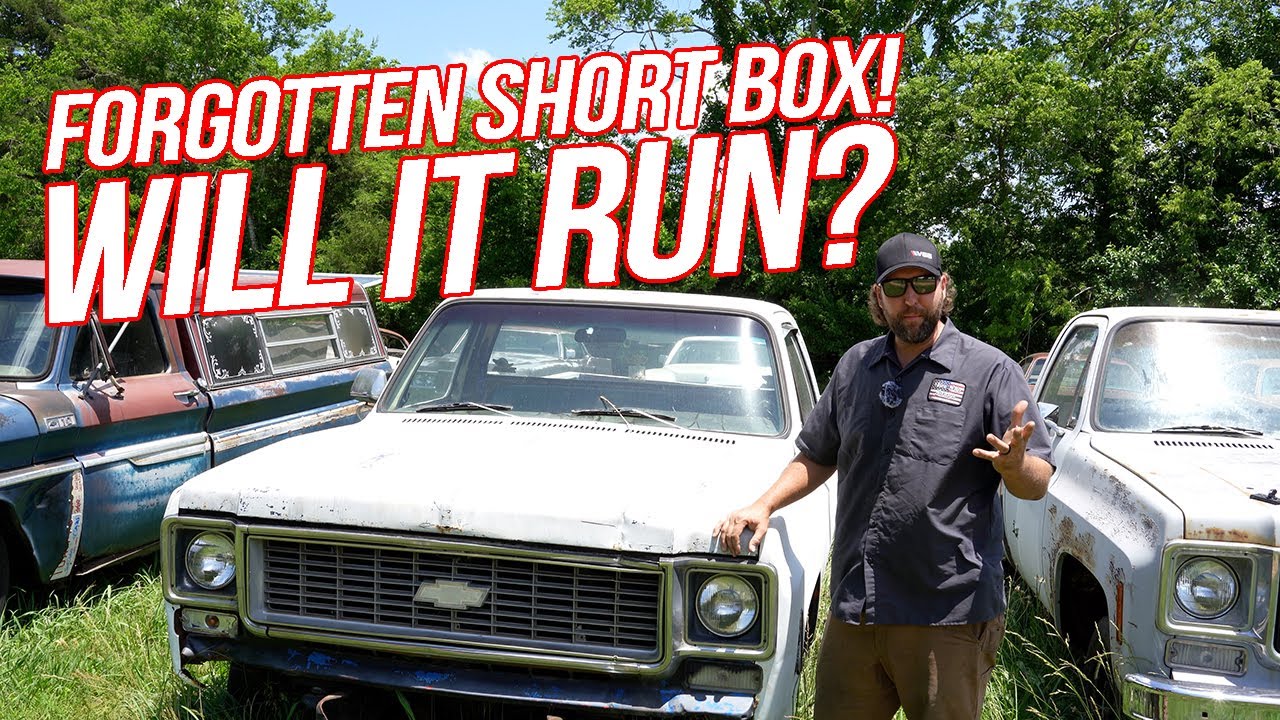 FORGOTTEN Square Body Chevy will it RUN AND DRIVE after years?