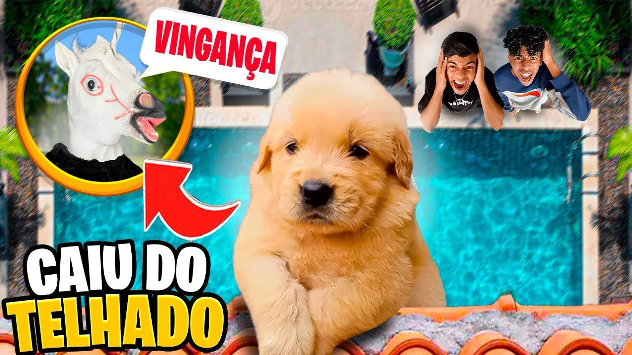 UNICÓRNIO DA DEEP WEB SE VINGOU!! *o cachorro caiu