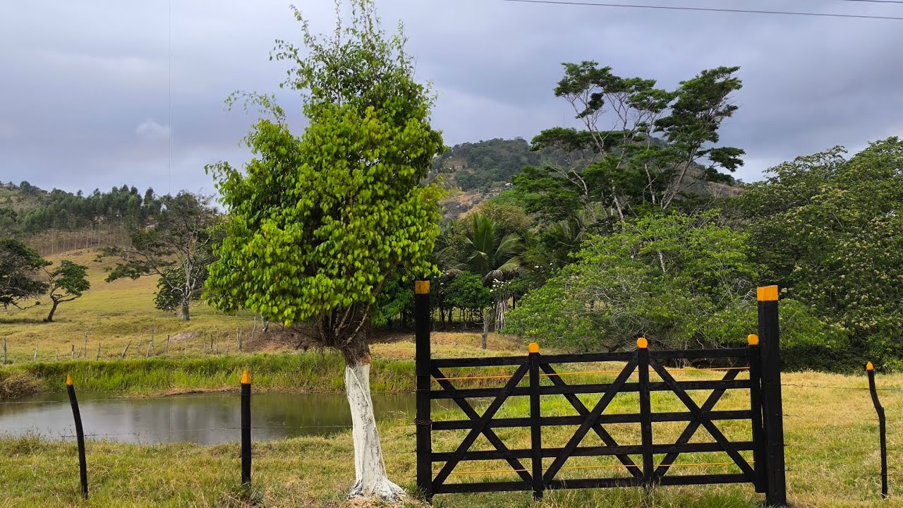 Sítio a venda a 1 km de distância da cidade Boca da Mata Alagoas 22-12-2025