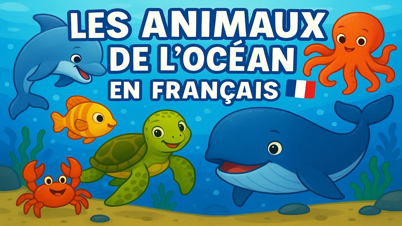 les Animaux de l’Océan en français 🌊 | vidéo éducative | learn French for beginners