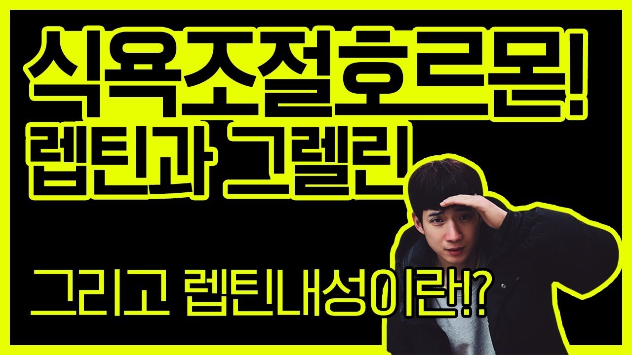 다이어트 식욕조절 식욕조절호르몬[식욕조절하는법,렙틴, 그렐린,렙틴내성,체중조절호르몬]