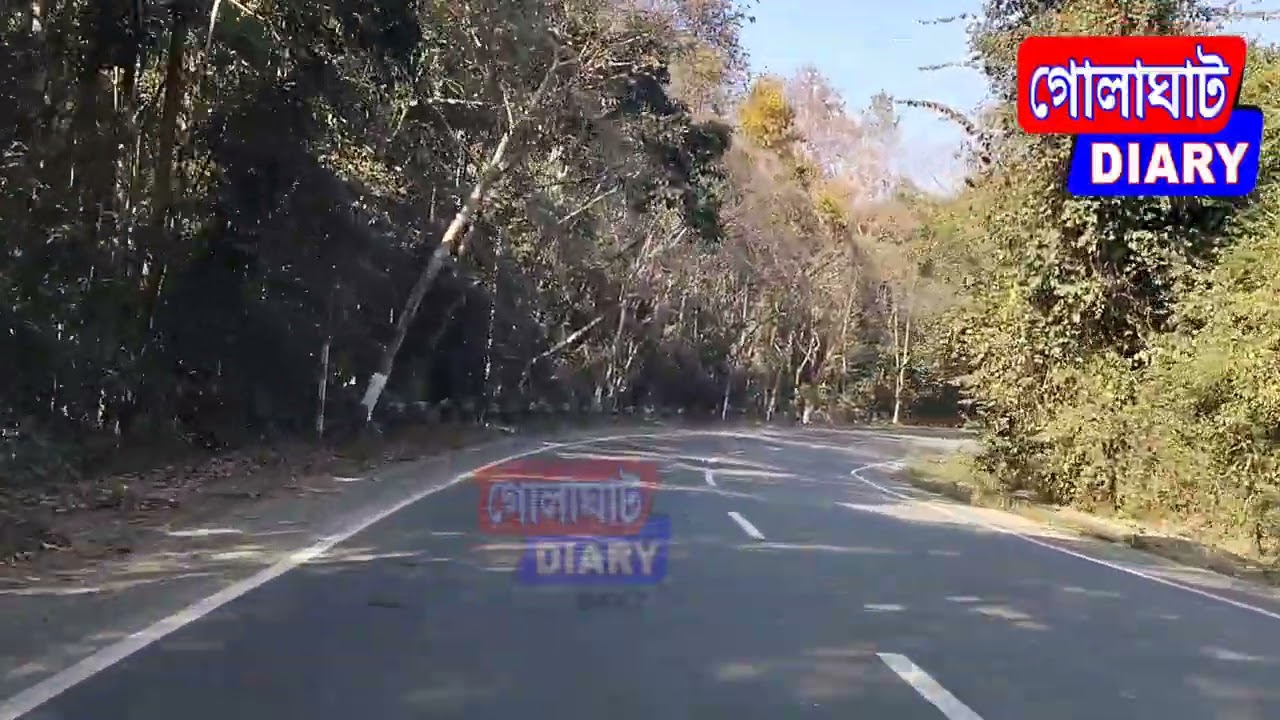নামবৰ অভয়াৰণ্যৰ বিষয়ে এইখিনি কথা জানিছিলেনে?  #golaghatdiary #golaghatnews #namborforest 