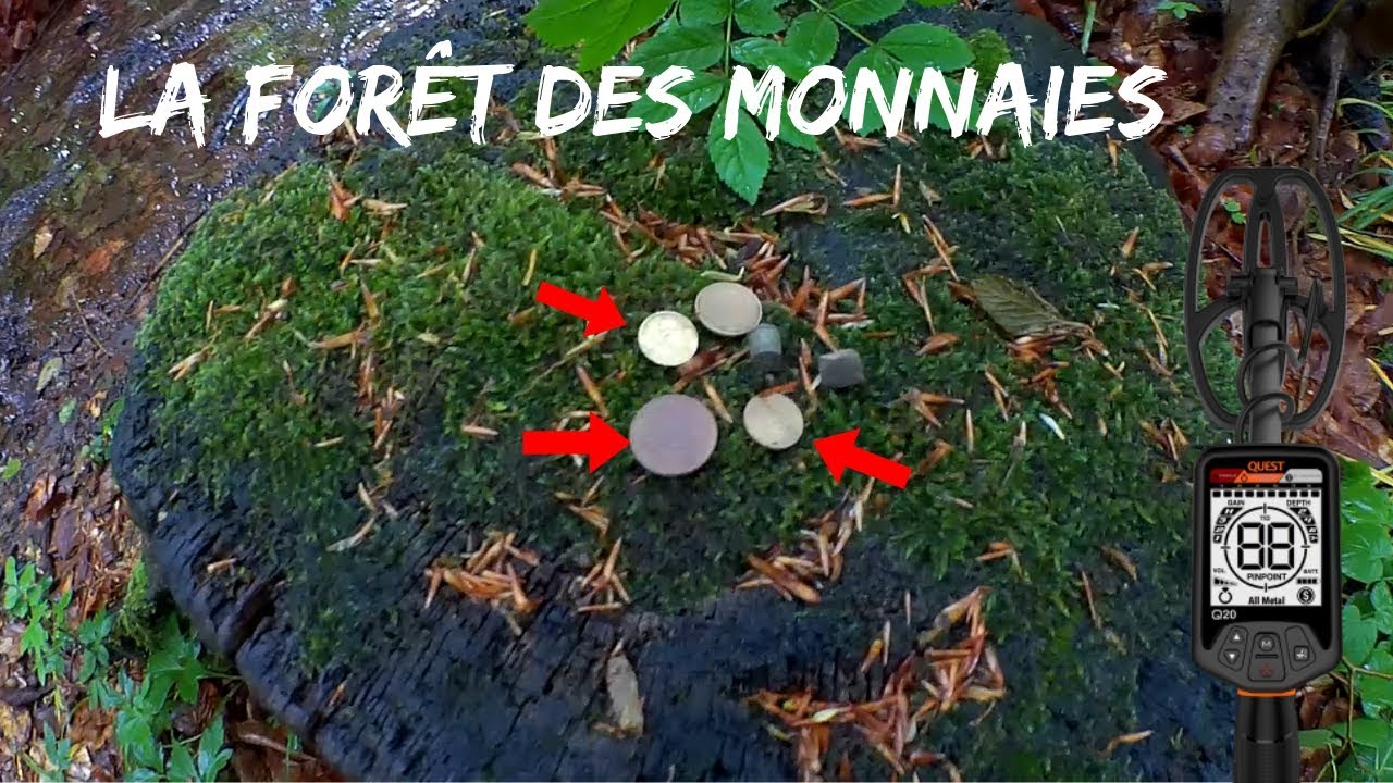 DÉTECTION QUEST Q20 : LA FORÊT DES MONNAIES