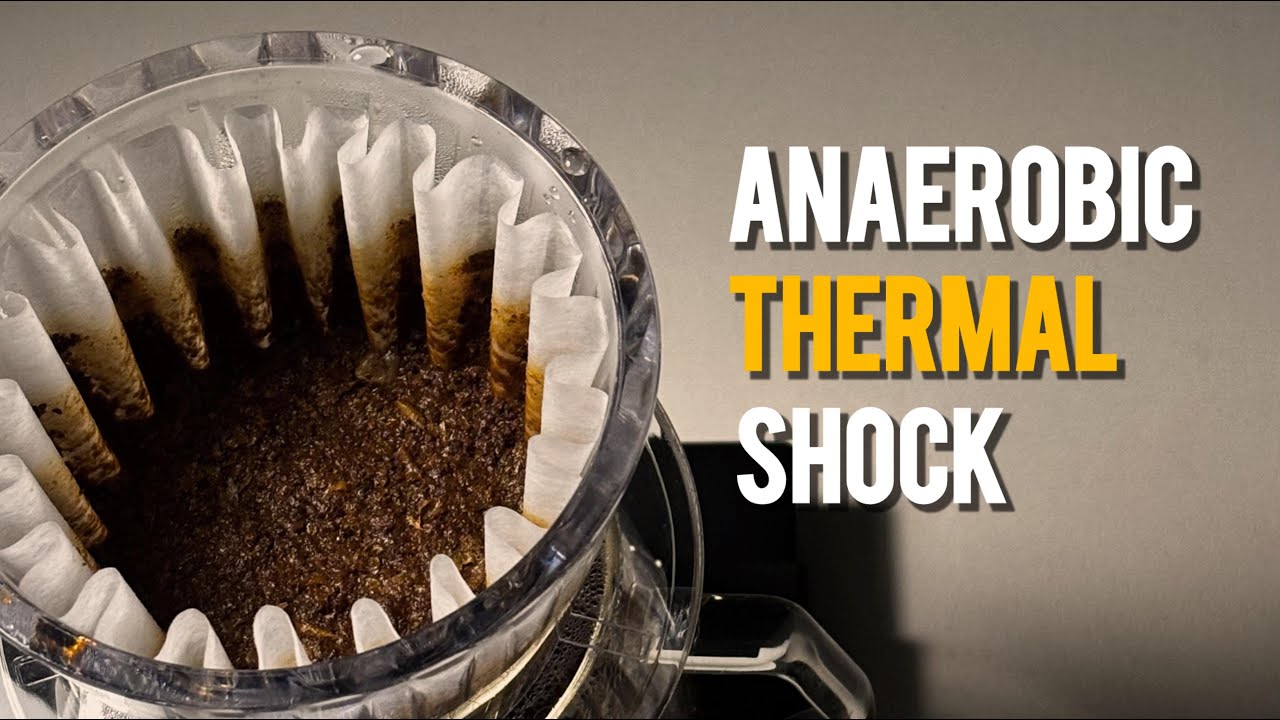 Anaerobic Thermal Shock Processed Coffee : Feels Like I&rsquo;m Drinking A Fruit Punch!