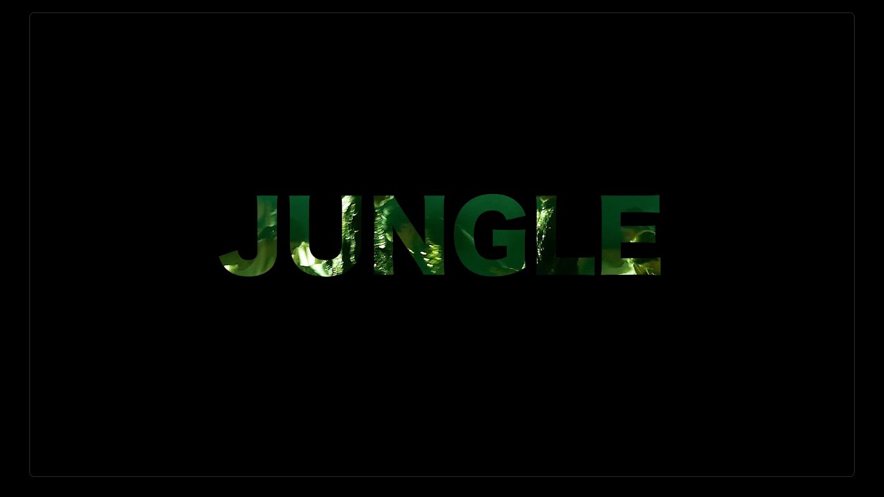 TVXQ ! 콘서트 20 & 2 - JUNGLE