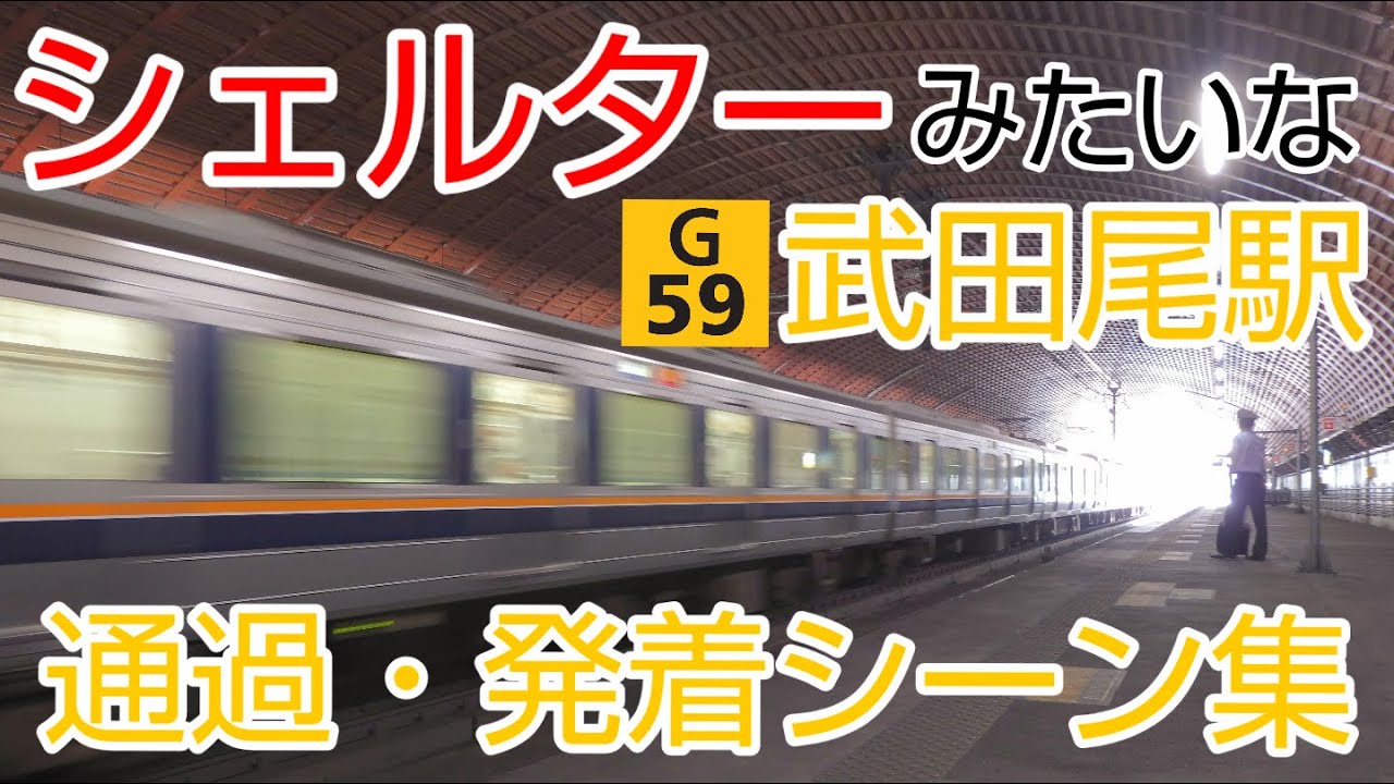 【シェルターみたいな駅】武田尾駅 発着・通過シーン