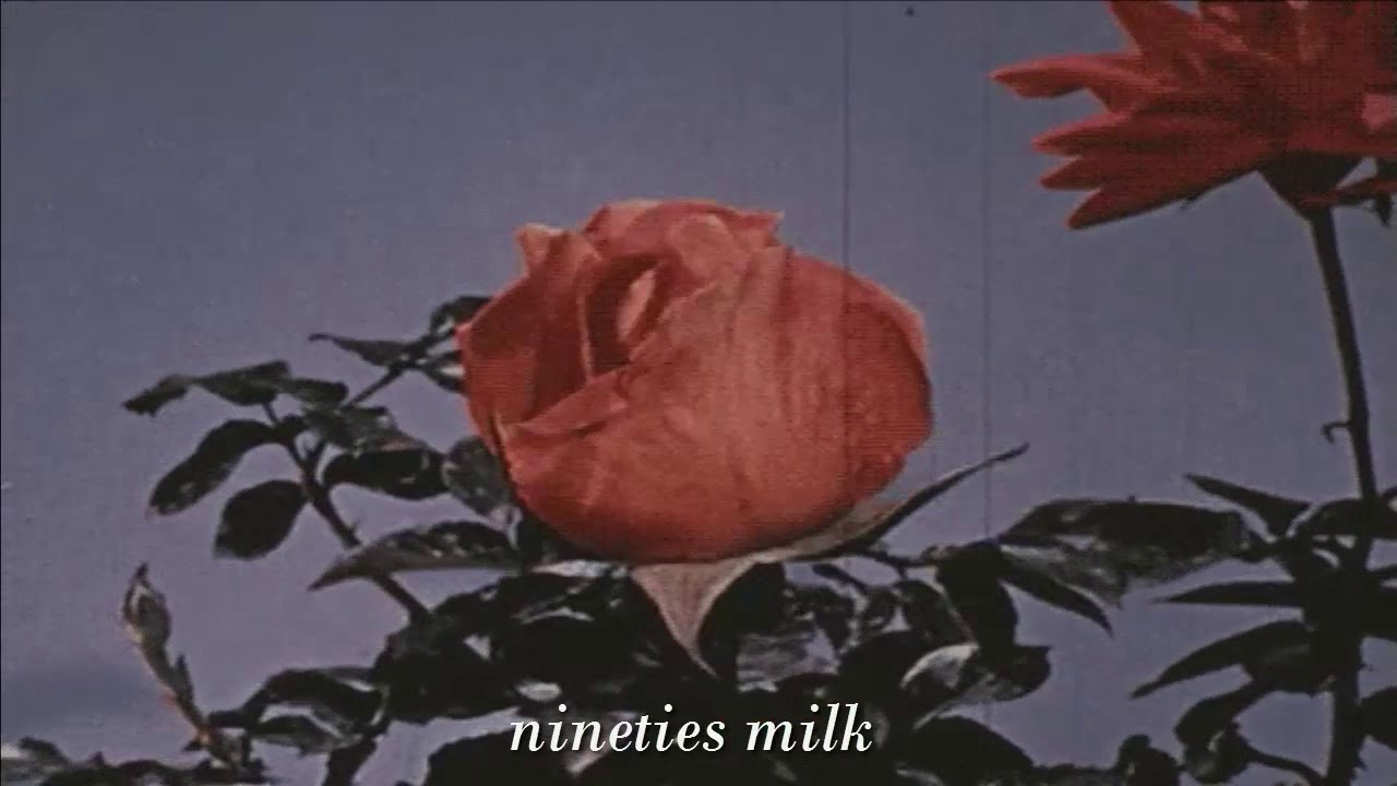 cocteau twins & harold budd // she will destroy you ( slowed + reverb )