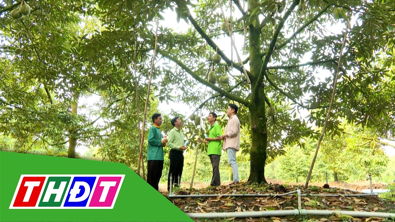 Nhìn lại hành trình 