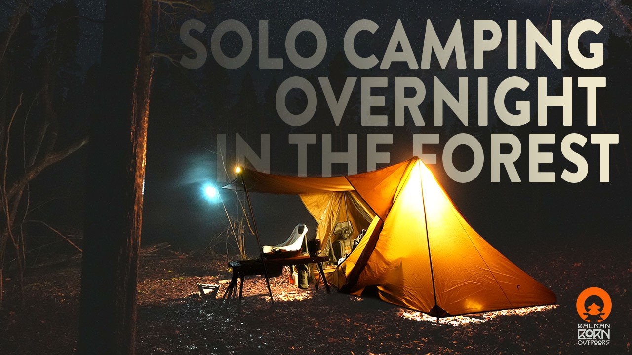 Camping Alone in the Forest 🌲 Overnight in the Rain 🌧️ Solo Camping UK Wild Camp Experience