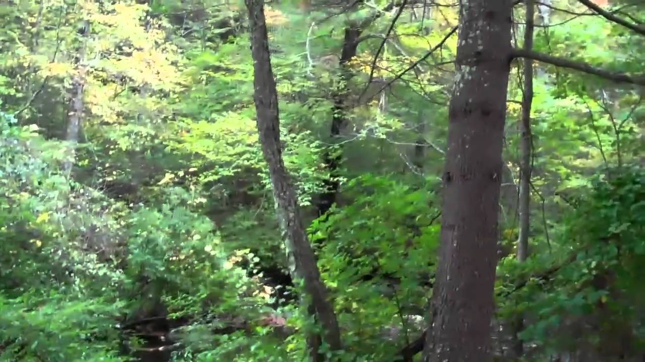 Devil's Hopyard: Where the Devil Comes to Roost Part II