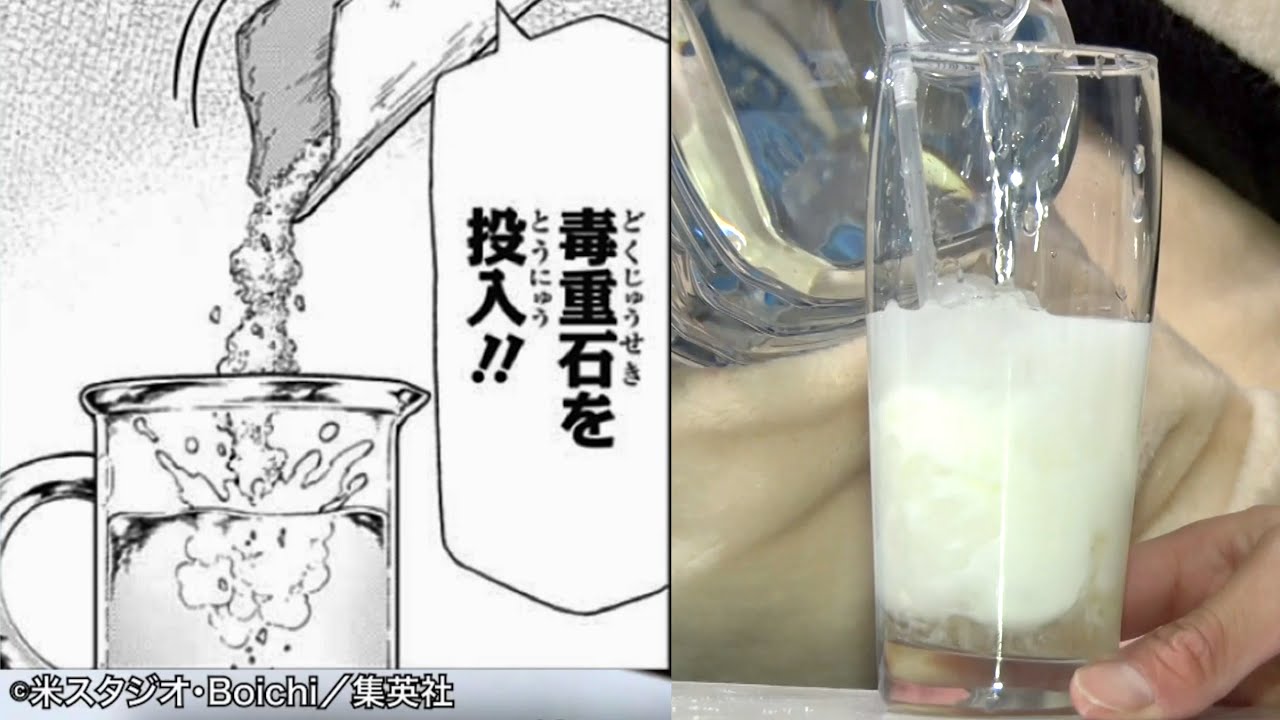 【Dr.STONE】カルピスって実際作れるのか!?ガチな科学実験で検証してみた【リアル漫画再現】