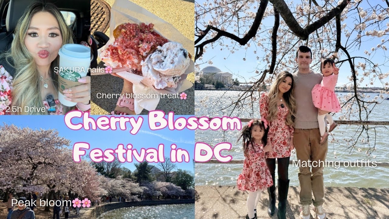 CHERRY BLOSSOM FESTIVAL IN DC | Peak Bloom, SAKURA nails, Cherry Blossom Treats, 3H Drive,  DCの桜祭り