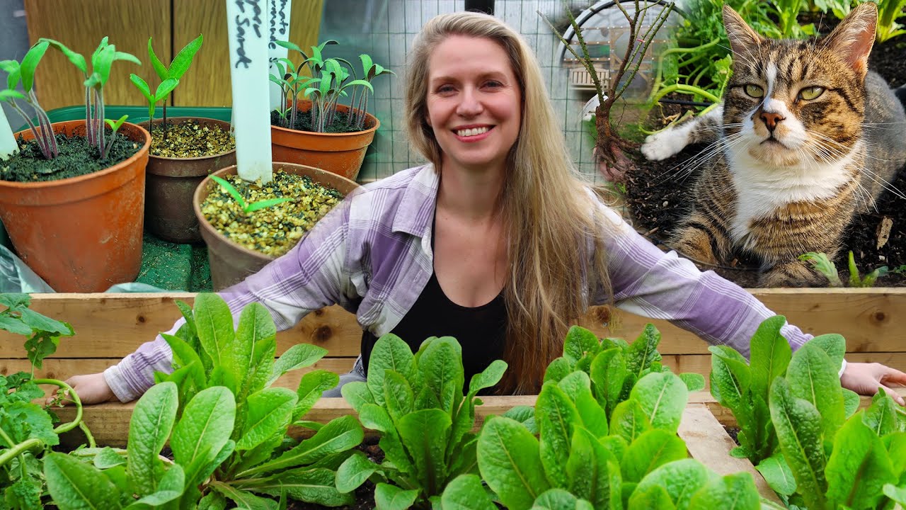The Garden in March 🌼 tips for poor germination, garden tour, and creating a no-dig flower bed