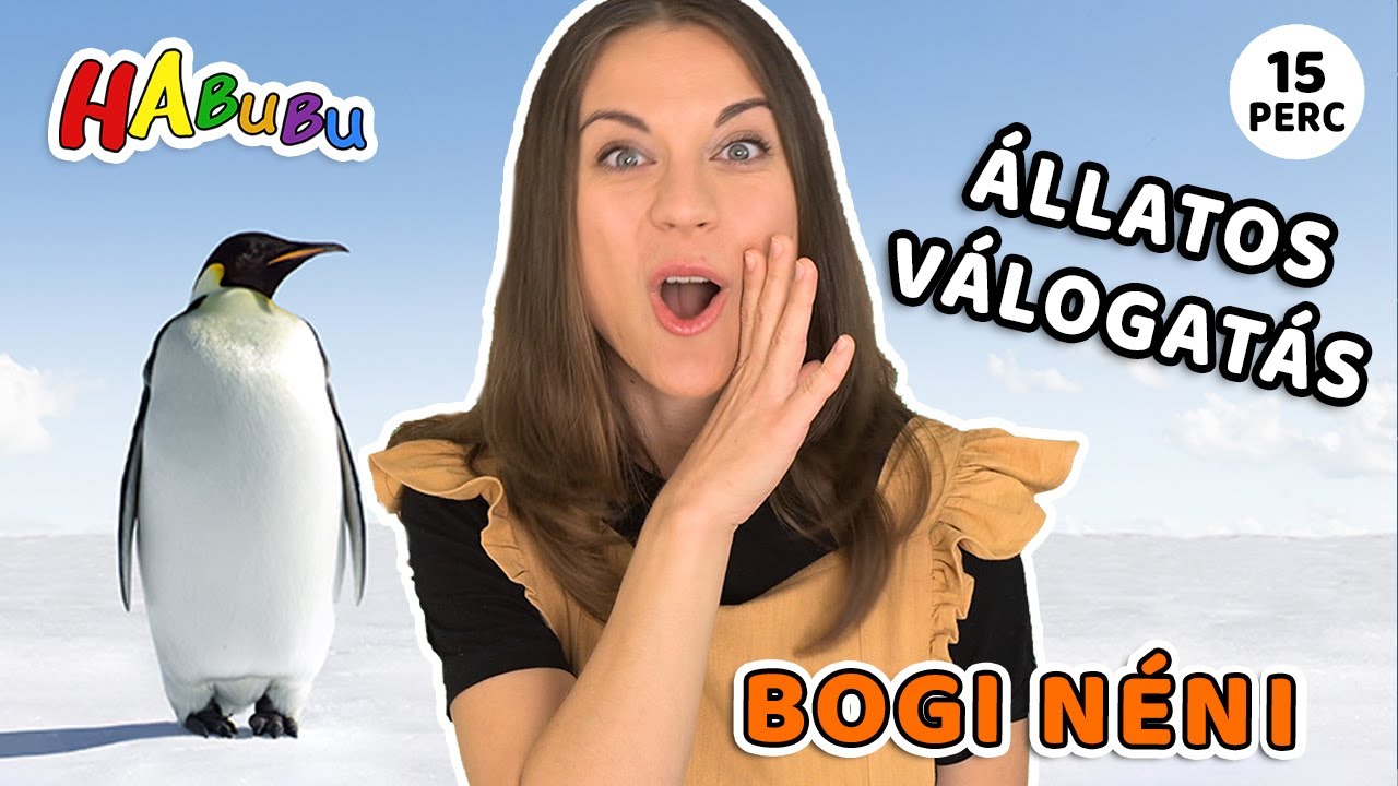ÁLLATOK Válogatás I 34 Féle Állat és Állathang Egy Videóban I Bogi Néni Szókincsfejlesztő