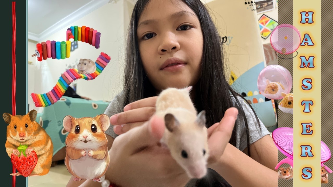 Meet  Chomper & Cheeks & their offsprings: Our Hamsters