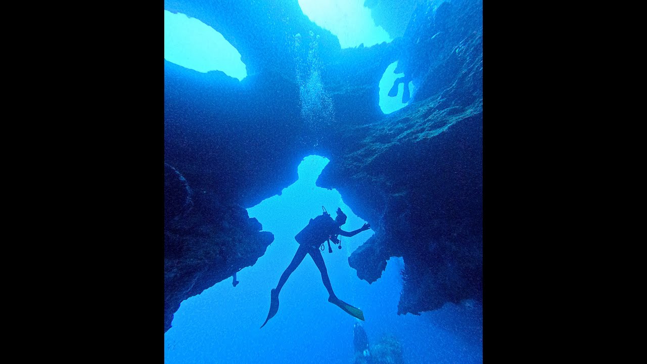 SAY's Diving in Moalboal