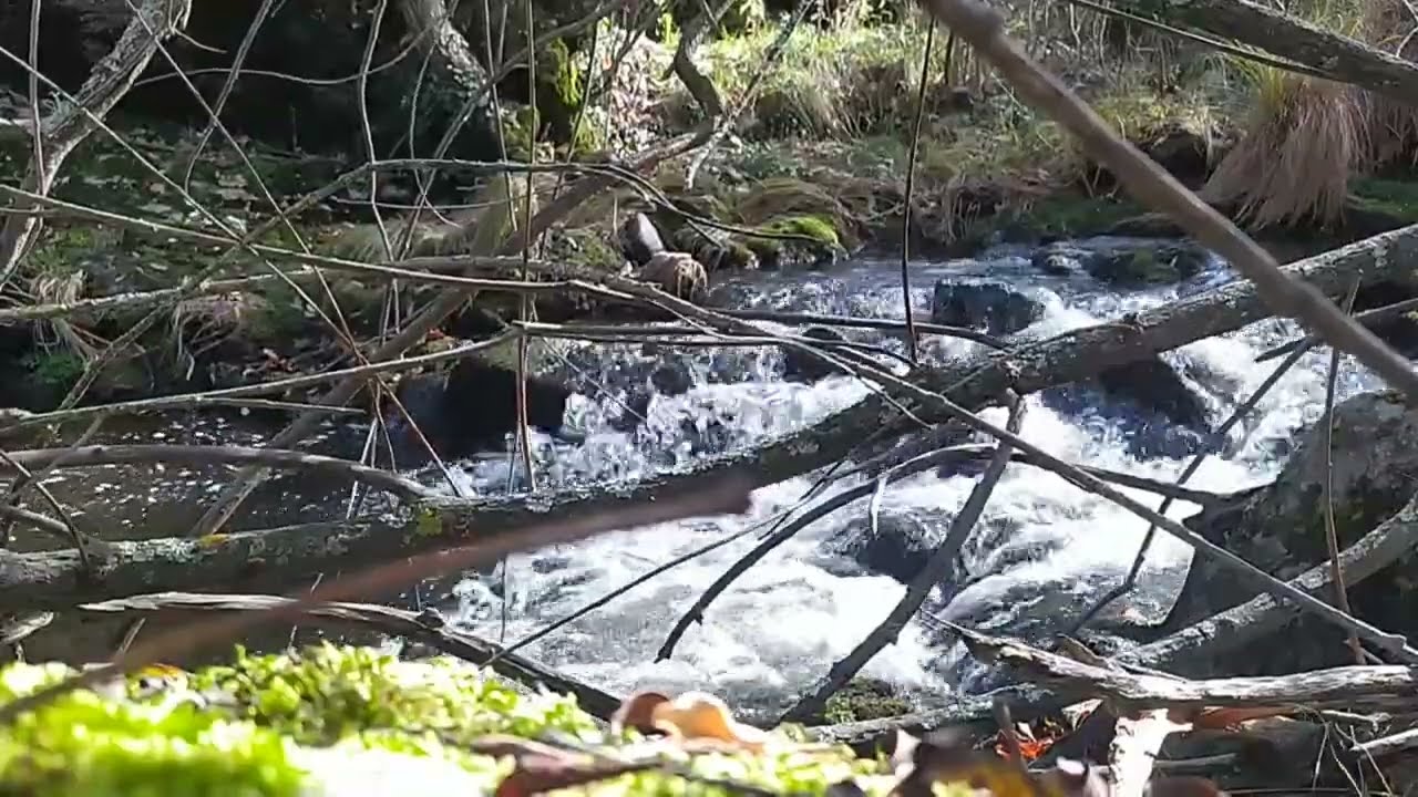 RIO CALMANTE - MAS DE 8H DE DURACION