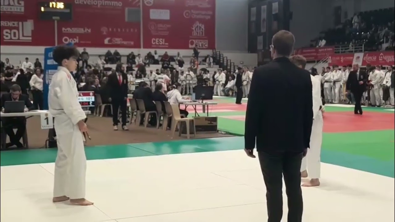 Judo ceintures de couleurs Mondeville 2026