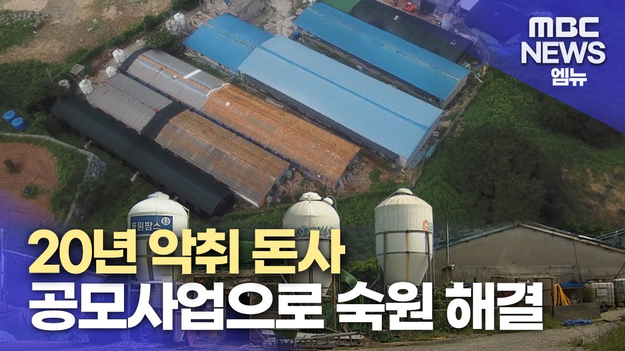 20여 년 악취 돈사 공모사업으로 해결(2023.8.21/뉴스데스크/MBC경남)