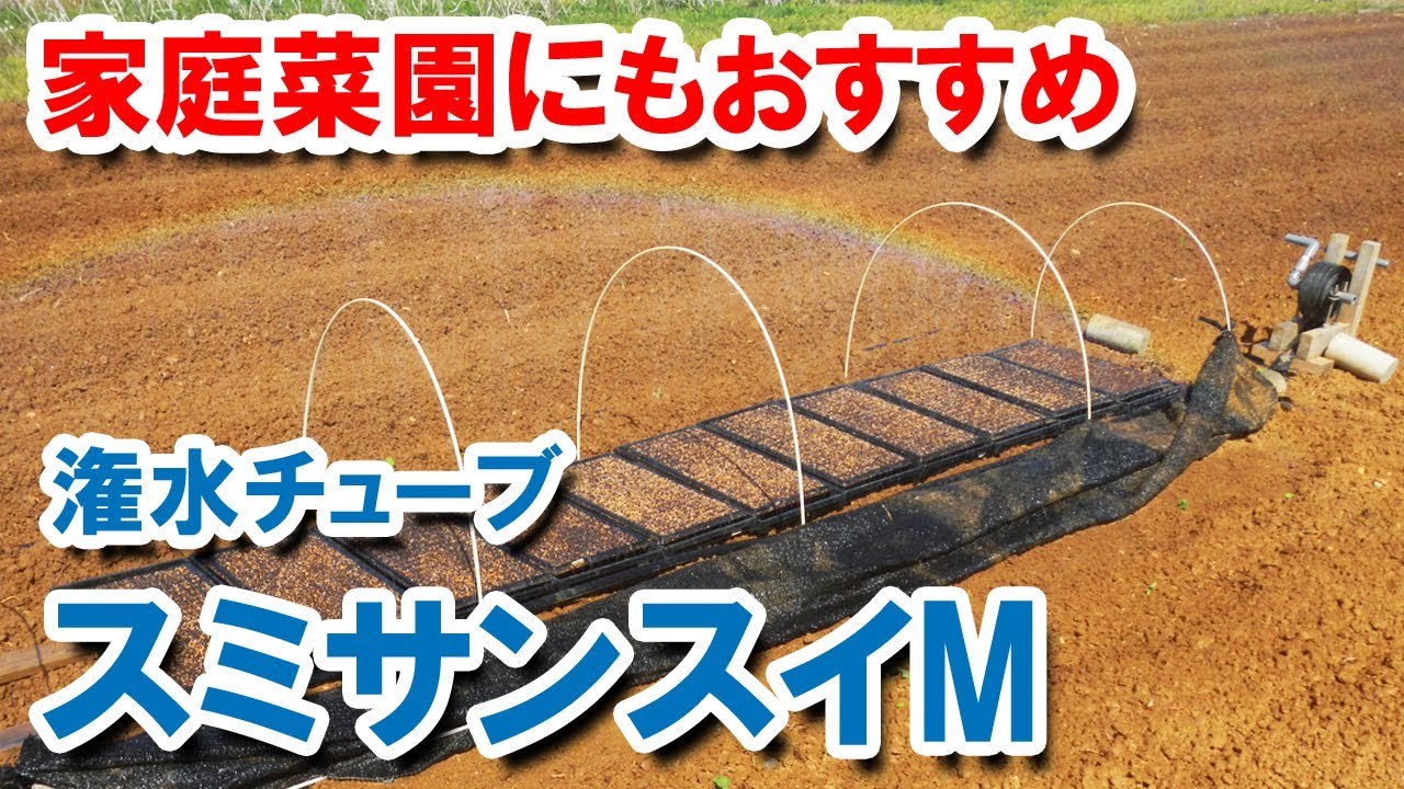 潅水チューブ・スミサンスイM　使用の様子　家庭菜園にもおすすめ！