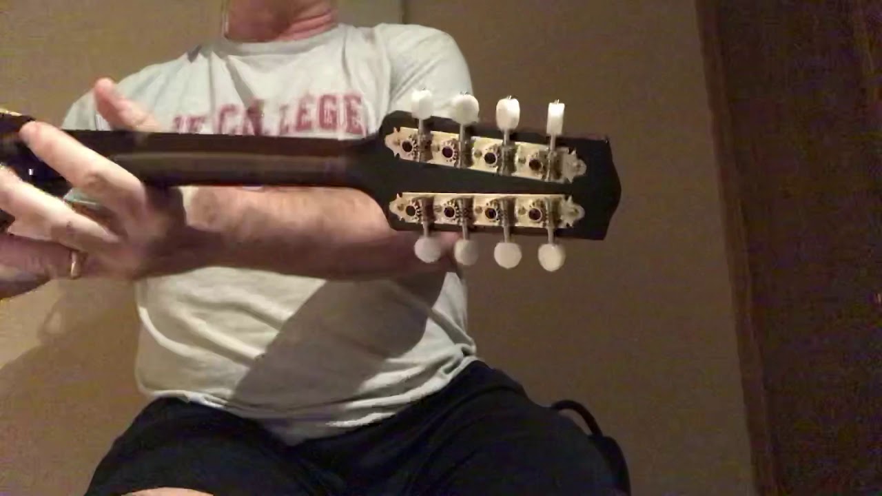 Pava A5