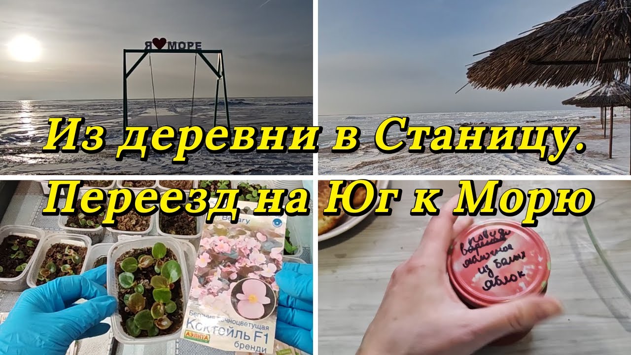 С УТРА ПО МОРЯМ, КАК Я ПИКИРУЮ ПЕТУНИЮ И БЕГОНИЮ ПРОЦЕСС