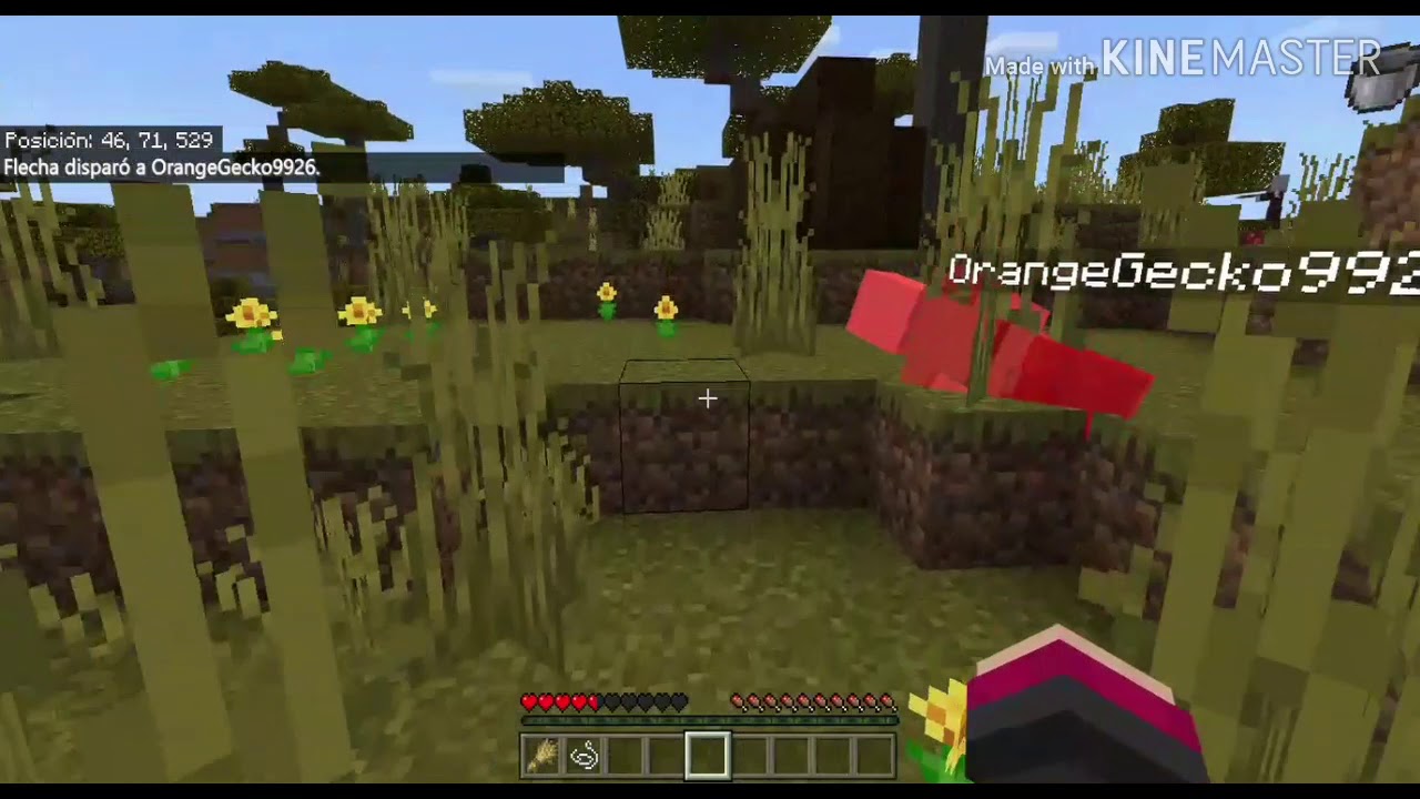 Minecraft con amigos (Momentos divertidos)- Panaland?