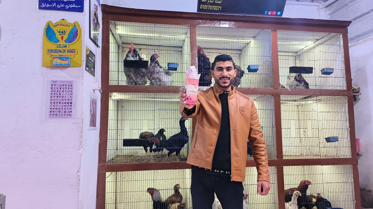 اكلمكم عن الفوائد العظيمه في دواء إميولانت إن محفز للمناعه لجميع الطيور 🦅