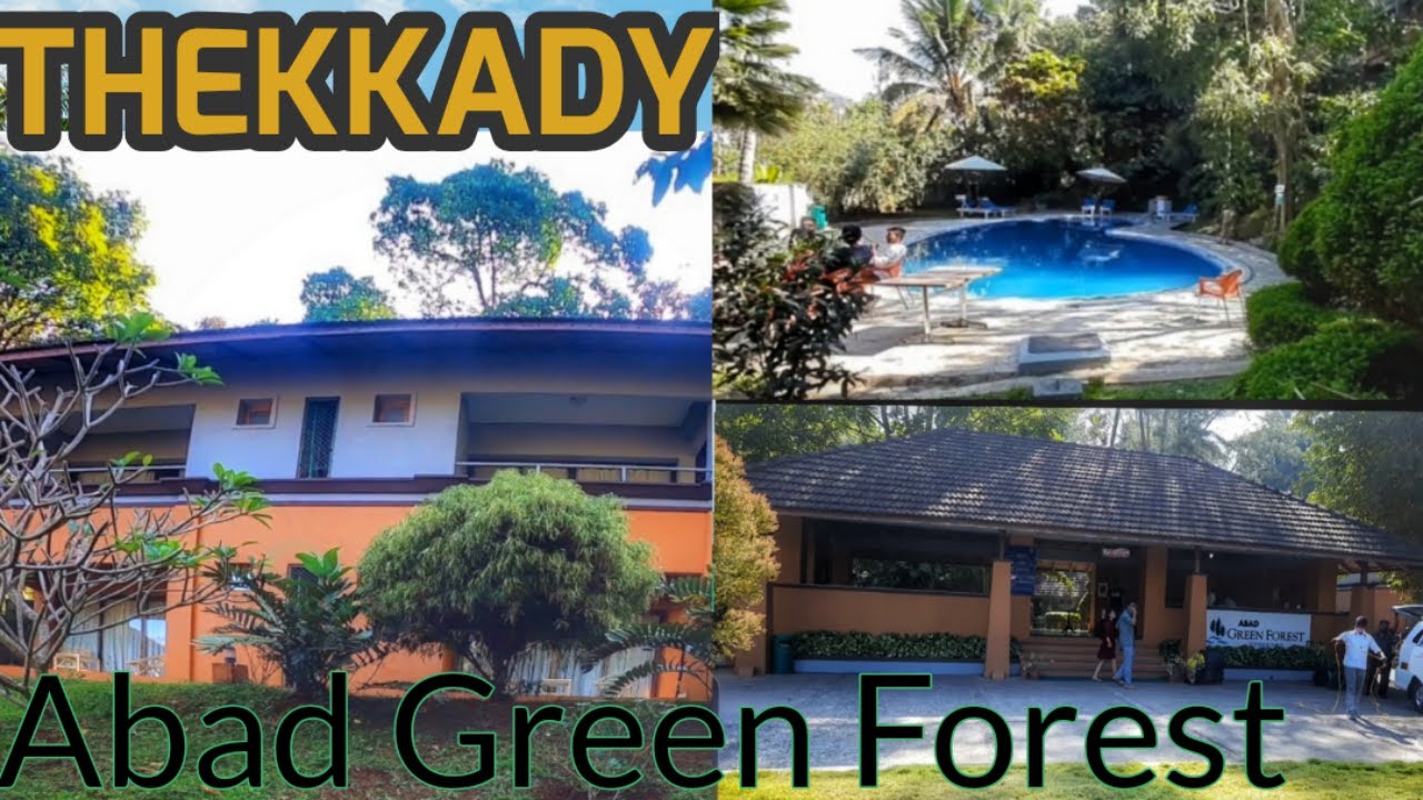 Abad Green Forest Resort | Thekkady Resorts | Vlog #52