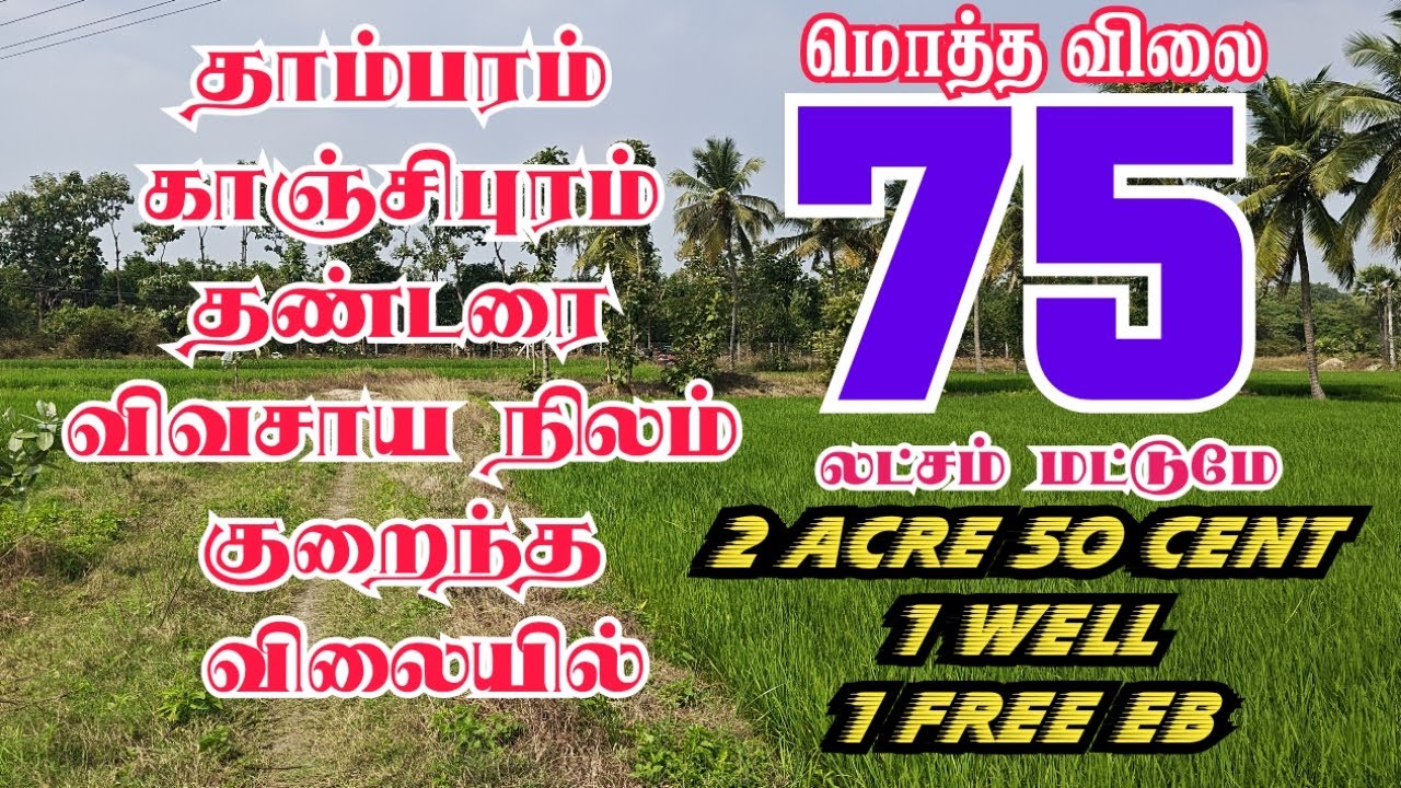காஞ்சிபுரம் தாம்பரம் தண்டரை விவசாய நிலம் குறைந்த விலையில்#kanchipuram#agriculture#landsale