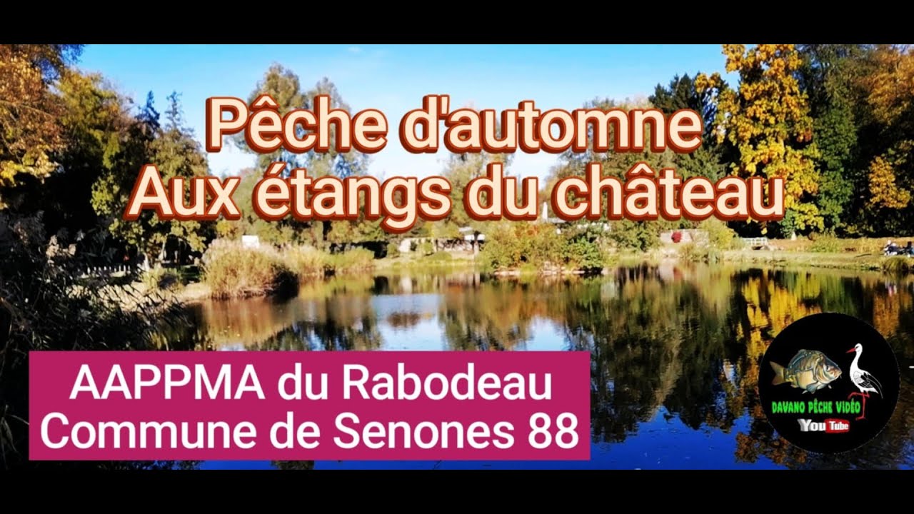 Pêche d'automne aux étangs du château de Senones (Vosges)