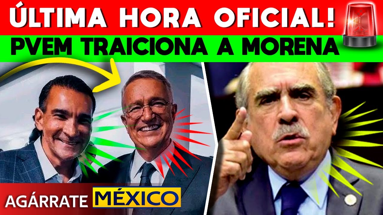 ¡CHANTAJE DEL PVEM! SENADOR DEL VERDE VOTARÁ VS REFORMA ELECTORAL. RECIBE ORDENES DE TÍO RICHIE