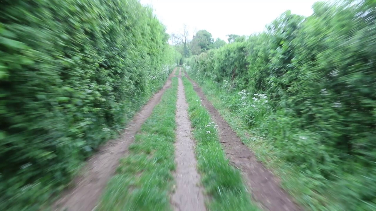 Green Lanes in a Dacia Duster - Hoar's Lane, Hitchin, North Hertfordshire