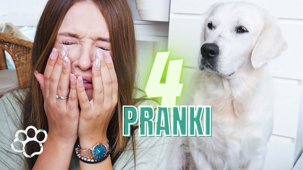 PRANKI | reakcja psa bezcenna