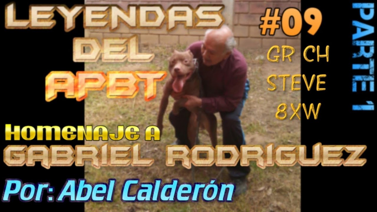⭐ LEYENDAS DEL APBT #𝟎𝟗 ⭐ HOMENAJE A GABRIEL RODRIGUEZ 