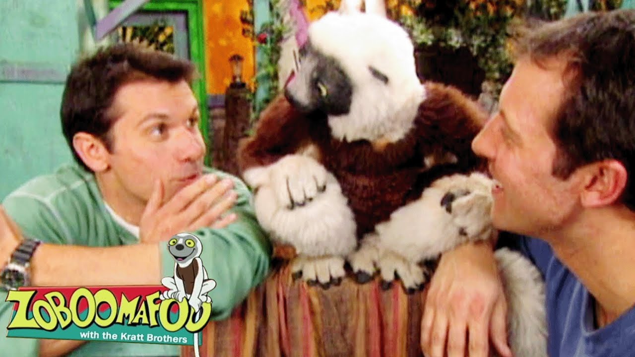 Families | Zoboomafoo - WildBrain | Learn about Animals!