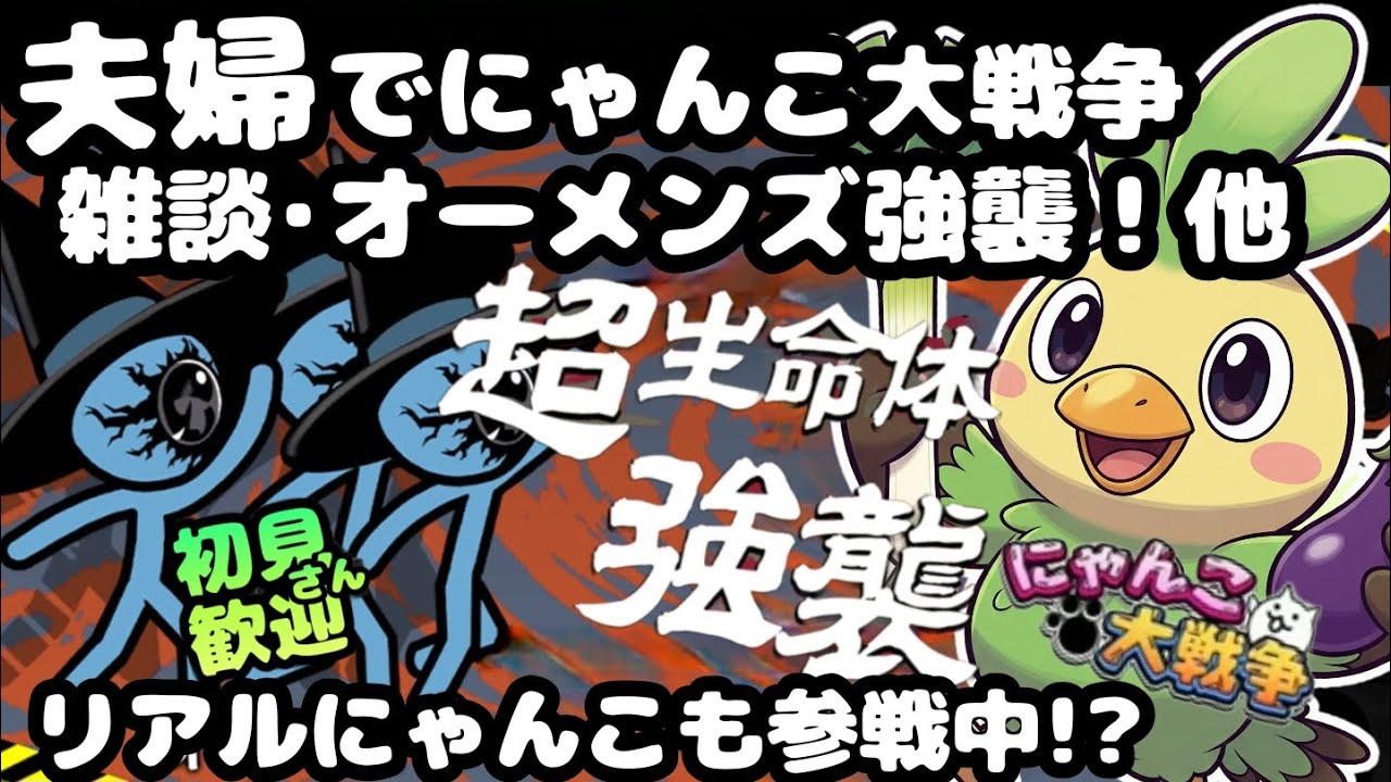 ネス垢オーメンズ強襲🙀他【初見さん大歓迎】夫婦実況+リアルにゃんこでまったりにゃんこ大戦争・雑談🐾ライブ配信#139にゃんこ大戦争 #縦型配信 #ライブ配信 #shorts #shorts #初見