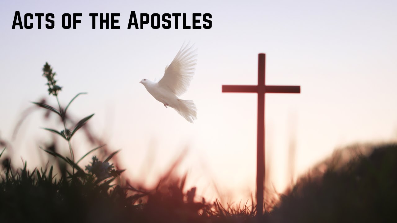 Acts 23 | Storm Lindenberg | 18 January 2026