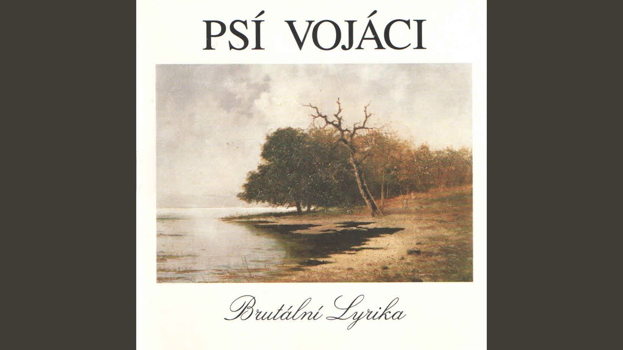 Tak akorát dlouhá (Sen v realitě) , Vol. 1